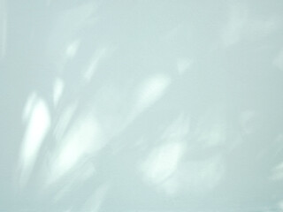 Natural leaf shadow on cement wall, overlay effect for photo, mock up, product, wall art, design presentation