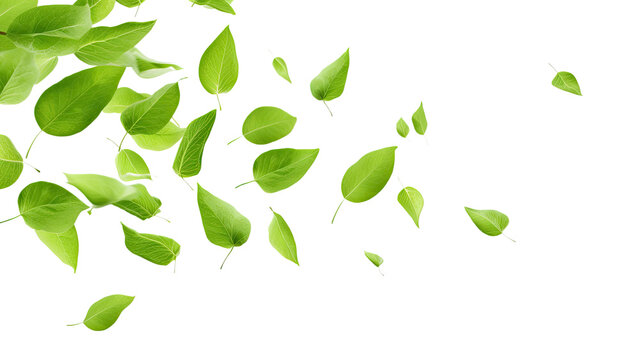 Green Floating Leaves Flying Leaves Green Leaf Dancing, Air Purifier Atmosphere Simple Main Picture, on transparent background, PNG file