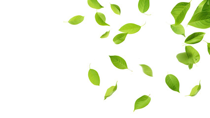 Green Floating Leaves Flying Leaves Green Leaf Dancing, Air Purifier Atmosphere Simple Main Picture, on transparent background, PNG file