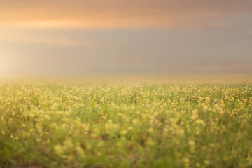 Digital landscape, spring, autumn, cinematographic.
