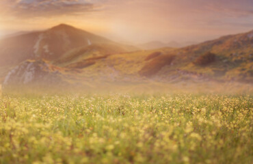 Digital landscape, spring, autumn, cinematographic.