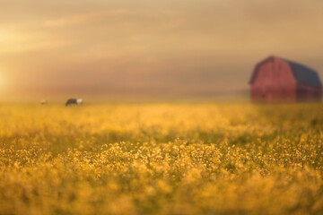 Digital landscape, spring, autumn, cinematographic.