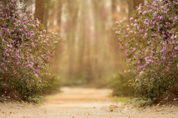 Digital landscape, spring, autumn, cinematographic.