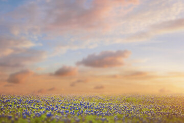 Digital landscape, spring, autumn, cinematographic.