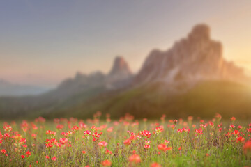 Digital landscape, spring, autumn, cinematographic.