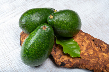 Green ripe avocado fruits from organic avocado plantation - healthy food