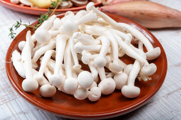 White shimeji edible mushrooms native to East Asia, buna-shimeji is widely cultivated and rich in umami tasting compounds. Mushrooms mix for cooking.