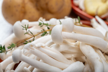 White shimeji edible mushrooms native to East Asia, buna-shimeji is widely cultivated and rich in umami tasting compounds. Mushrooms mix for cooking.