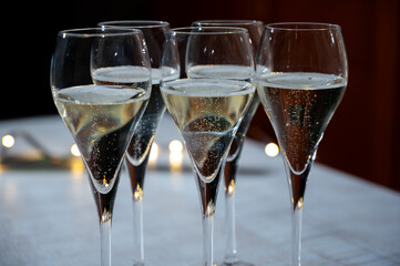 New year party, small bubbles of brut champagne cava or prosecco wine in tulip glasses with garland  lights on background