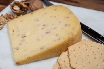 Piece of Dutch Gouda cheese made from cow milk with added walnuts close up
