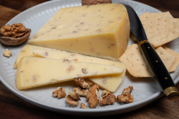 Piece of Dutch Gouda cheese made from cow milk with added walnuts close up