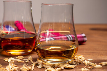 Tasting of different Scotch whiskies strong alcoholic drinks, drum of whiskey and colorful Scotch tartan on background close up