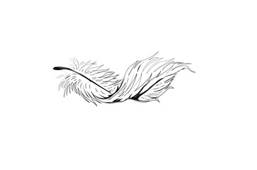 feather silhouette outline