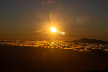 Fototapeta premium Hawaii Island