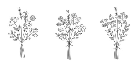 Collection of hand drawn flowers and potted plants.
