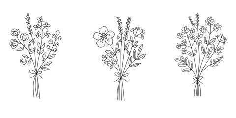 Collection of hand drawn flowers and potted plants.