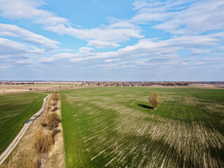 Dry reclamation canal in the field, aerial view. Agricultural landscape.