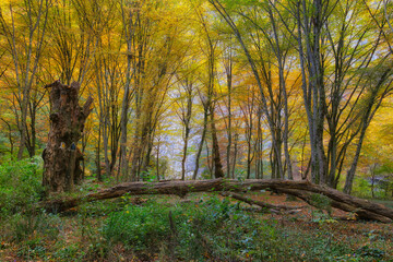 Scenic autumn landscape of Vadu Crisului on a sunny day, Romania, Europe	