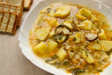 Mushroom soup in a white bowl on a beige background