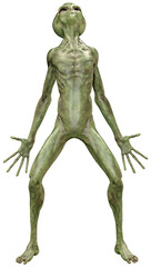 3D Rendering Green Alien on White