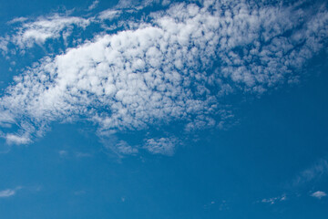 This is a photo of a bright blue sky with fluffy white clouds spread out across it.