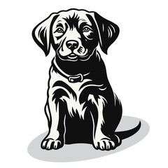 Chesapeake silhouettes and icons. black flat color simple elegant Chesapeake animal vector and illustration.