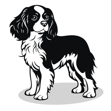 recommend clip art: Cavalier King Charles Spaniel silhouettes and icons. black flat color simple elegant Cavalier King Charles Spaniel animal vector and illustration.