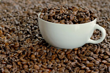 Fototapeta premium roasted coffee beans on display no people stock image stock photo