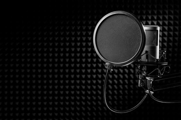 Professional microphone pop shield on the stand. Recording studio with noise cancelling wall.