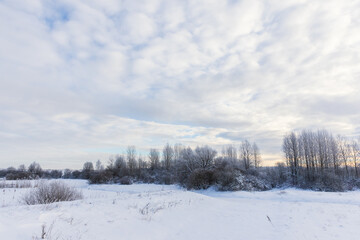Rural winter landscape with snowy field and bare trees under cloudy sky