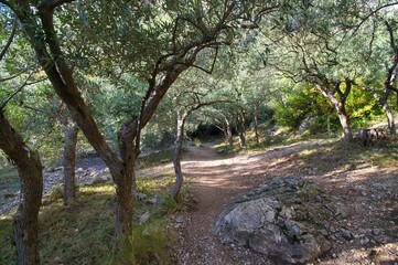 Gorges de Regalon im Luberon in der Provence