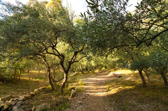 Gorges de Regalon im Luberon in der Provence