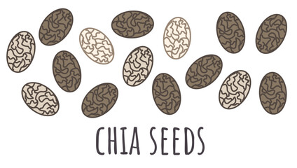 Chia seeds closeup illustration. Edible seeds on white backdrop. Beans vector graphic with texture. Useful for packaging, print or fabric.