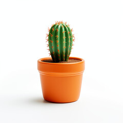 cactus cute tree on golden-colored soil pot in standing white background