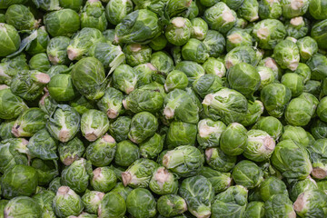  close up on Brussel sprout as vegetable background