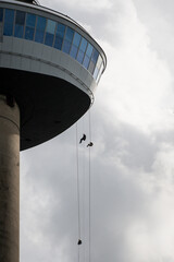 daring adrenaline junkies abseil from the Euromast tower in Rotterdam Netherlands to the ground....