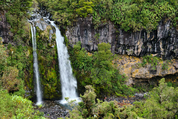 Fototapeta na wymiar waterfall in the forest in New Zealand