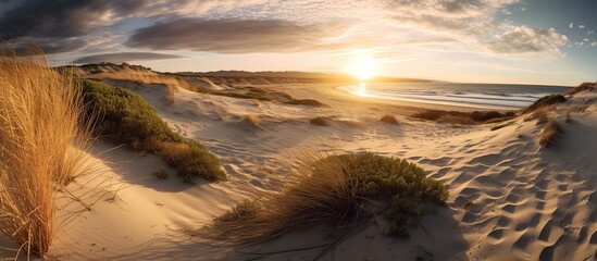 Panorama of dunes on the coast of the Baltic Sea - obrazy, fototapety, plakaty