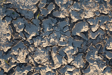 Aridity, brown dry soil or cracked ground texture background.