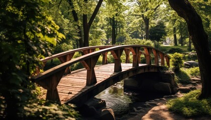 A Serene Walkway Connecting Nature's Elements