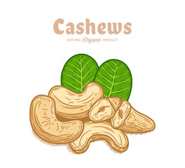 Vector cashew nuts hand-drawn colorful illustration