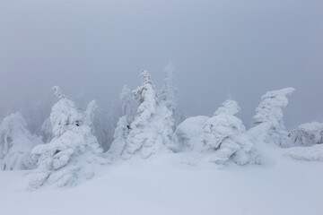 Winter mountain landscape. National Park. Carpathian, Romania, Europe.