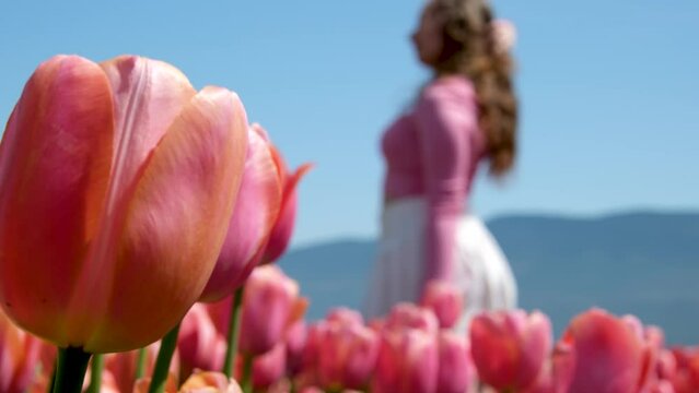 Happy woman on blooming field of tulips. High quality photo
