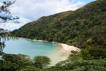 Beach in the Abel Tasman park in NEw Zealand