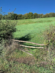 fenced meadow with high hedges and an access with wooden logs