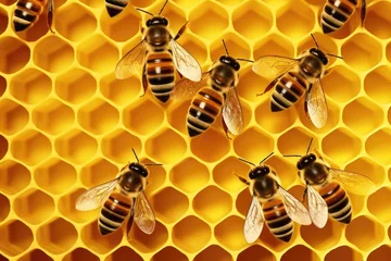 Fotobehang Bees background, image of background image, in the style of repetitive, rounded, aerial photography  © sch_ai