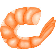 Illustration of boiled shrimp that has turned orange.
