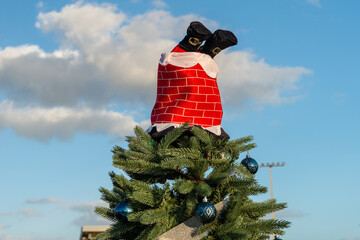 A large evergreen Christmas tree on display covered with colored glass glitter balls. The Christmas...