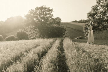 A pregnant woman stands on the edge of a blooming lavender field in the rays of the setting sun, monochrome image