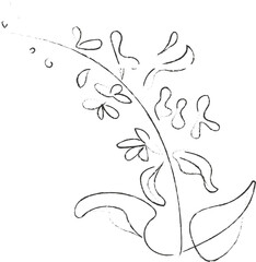 Flower Botanical Vector Vintage Illustration  